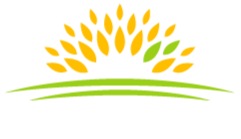 ひまわり保険企画